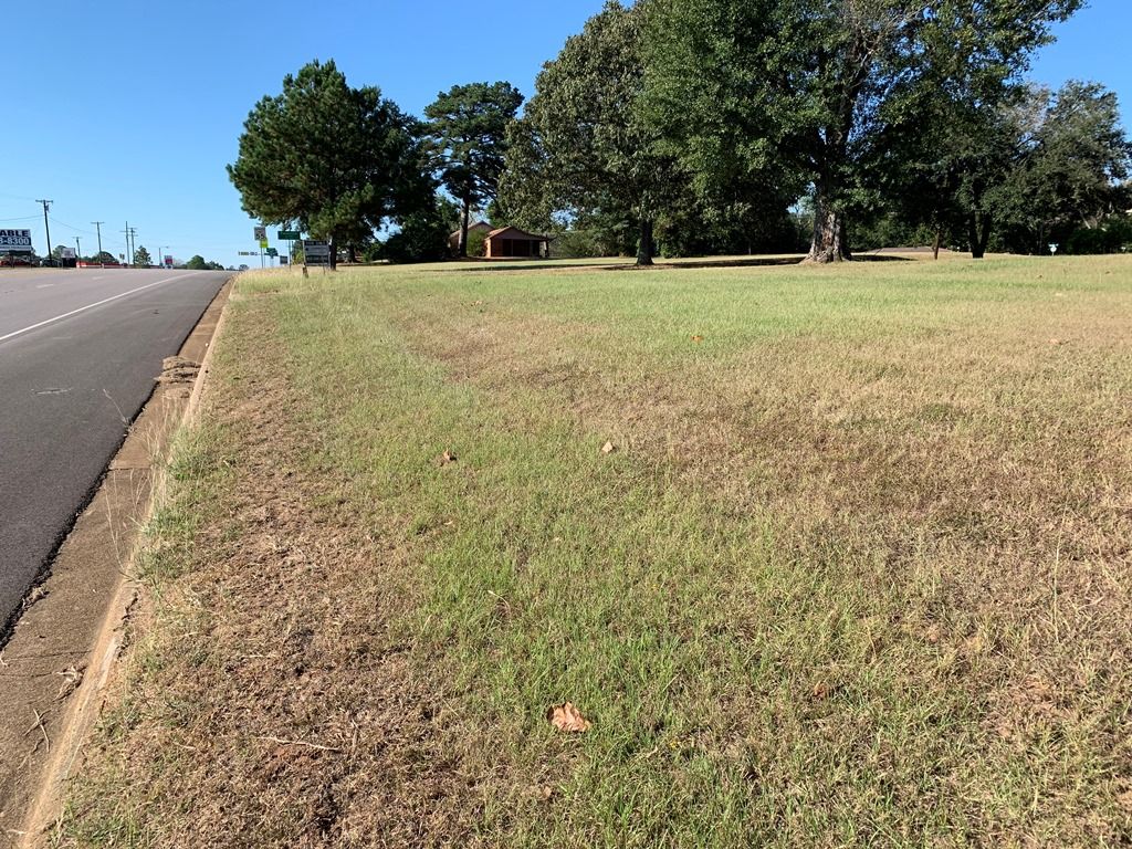 Street View Palestine, TX