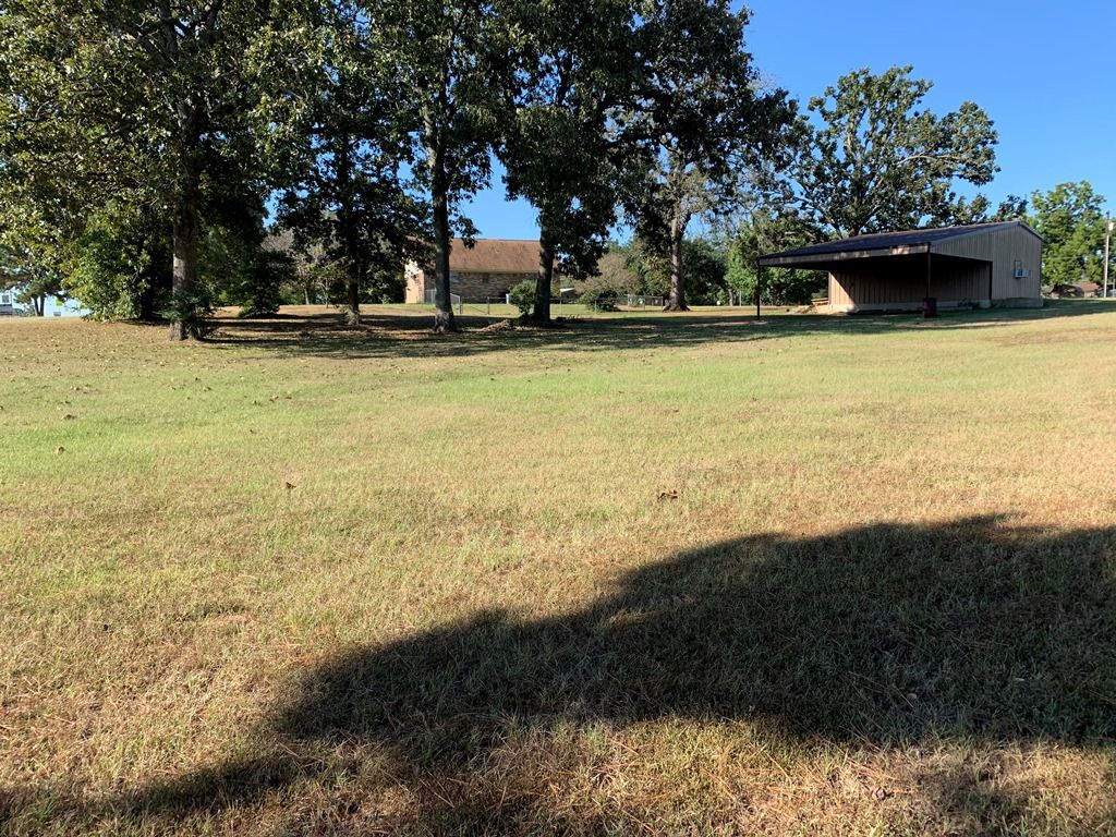 Street View Palestine, TX