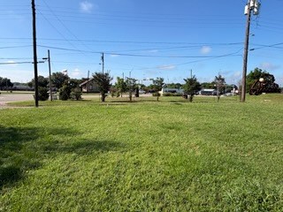 View from Property facing W Debard St - Palestine, TX