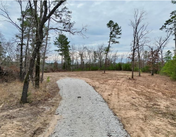 Street View - Palestine, TX