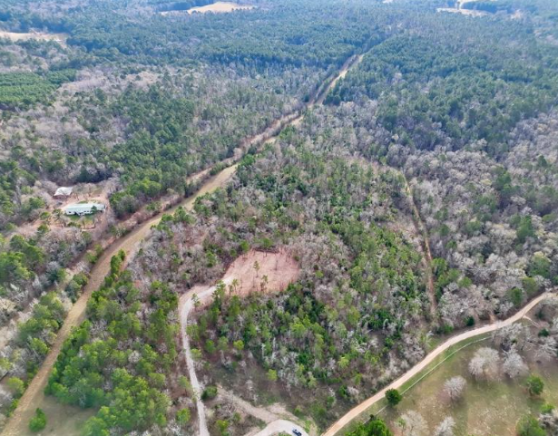 Aerial View - Palestine, TX