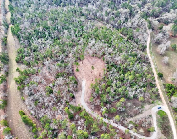 Aerial View - Palestine, TX